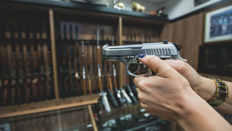 Câmara discute mudanças nas regras para compra e porte de armas