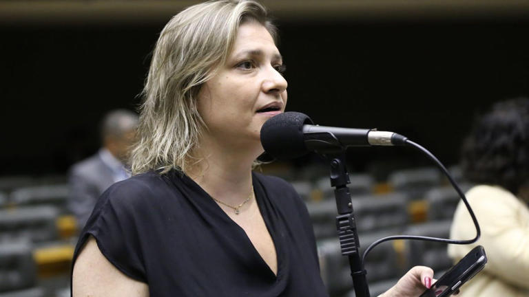 Deputada questiona CGU sobre fraudes no INSS sob gestões Temer e Bolsonaro