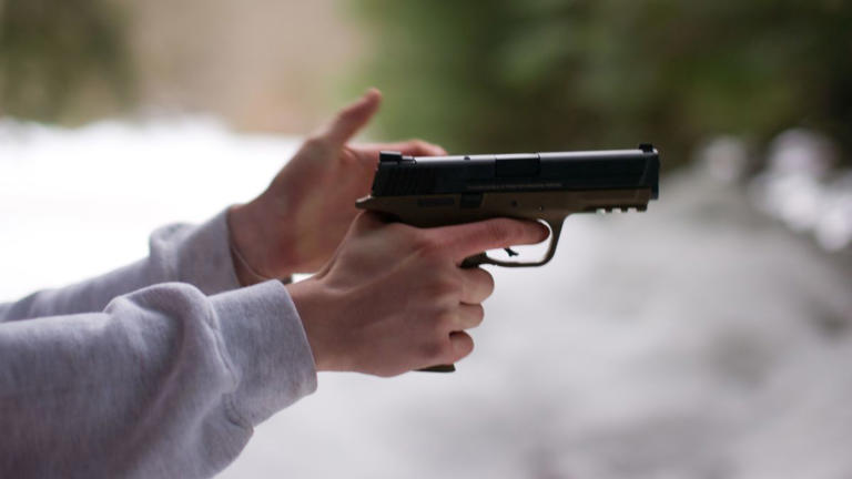 Comissão da Câmara pode votar hoje (10) programa "Minha Primeira Arma"